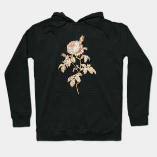 Gold Prism Mosaic Provence Rose Bloom Botanical Illustration Hoodie